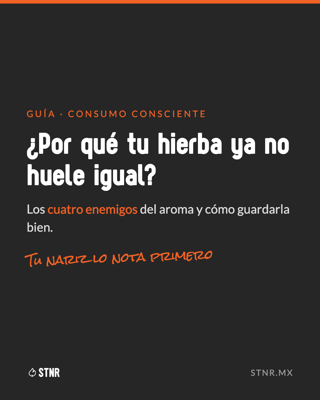 ¿Por qué tu hierba ya no huele igual? Los cuatro enemigos del aroma y cómo guardarla bien